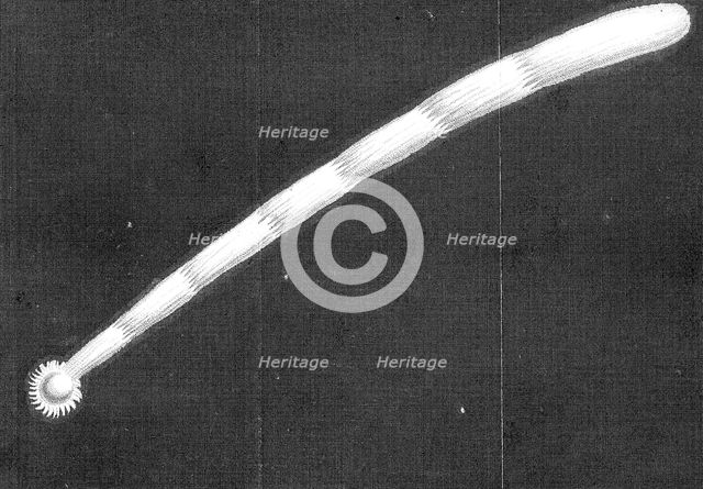 Great comet of 1680 (Kirch) as it appeared as it approached the Sun. Creator: Unknown.