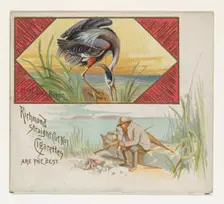 Great Blue Heron, from the Game Birds series (N40) for Allen & Ginter Cigarettes, 1888-90. Creator: Allen & Ginter