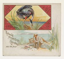 Great Blue Heron, from the Game Birds series (N40) for Allen & Ginter Cigarettes, 1888-90. Creator: Allen & Ginter