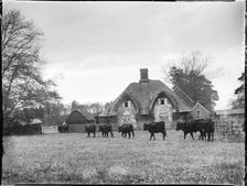 Great Hampden, Great And Little Hampden, Wycombe, Buckinghamshire, 1910. Creator: Katherine Jean Macfee