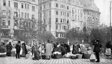 Great market of flowers, Budapest, Hungary, 1922.Artist: AW Cutler