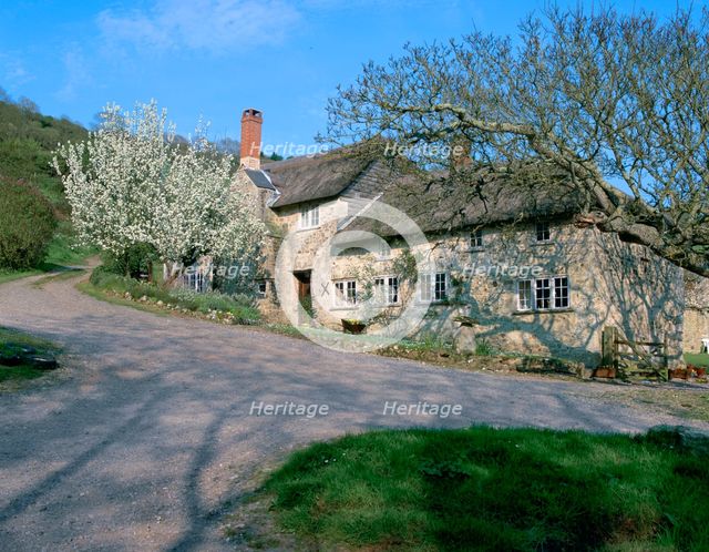 'Great Seaside' house, Branscombe, Devon. Creator: Peter Thompson.