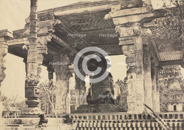 Great Pagoda, Great Bull, Front View, Tanjore, India (Rajarajesvara Temple), 1857. Creator: Captain Linnaeus Tripe (British, 1822-1902); Madras Presidency.