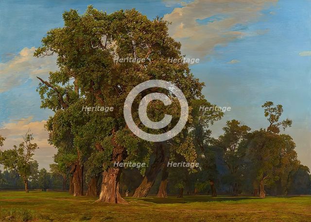 Great Prater landscape, 1849. Creator: Ferdinand Georg Waldmuller.