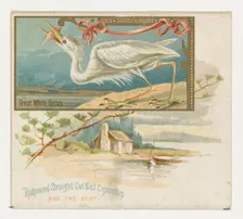 Great White Heron, from the Game Birds series (N40) for Allen & Ginter Cigarettes, 1888-90. Creator: Allen & Ginter