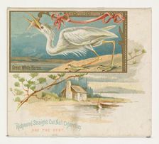 Great White Heron, from the Game Birds series (N40) for Allen & Ginter Cigarettes, 1888-90. Creator: Allen & Ginter
