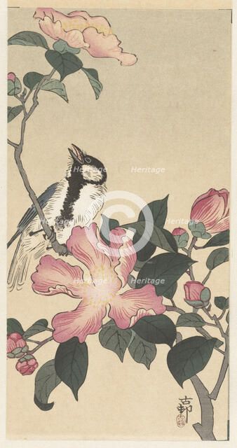 Great tit on branch with pink flowers. Creator: Ohara, Koson (1877-1945).