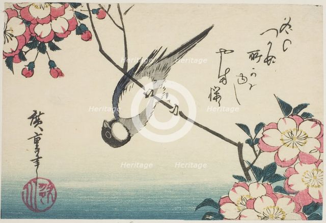 Great tit on cherry blossom branch, 1830s. Creator: Ando Hiroshige.