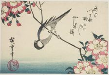 Great tit on cherry blossom branch, 1830s. Creator: Ando Hiroshige