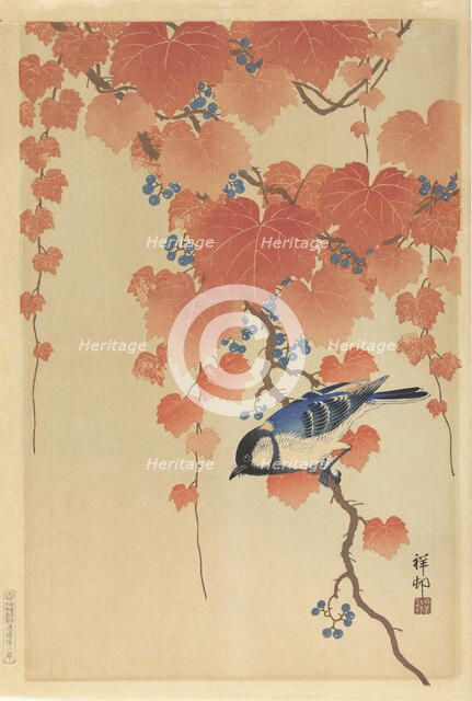 Great tit on paulownia branch, 1925-1936. Creator: Ohara, Koson (1877-1945).