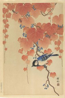 Great tit on paulownia branch, 1925-1936. Creator: Ohara, Koson (1877-1945)