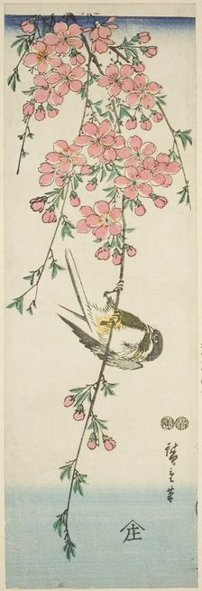 Great tit and cherry blossoms, c. 1847/52. Creator: Ando Hiroshige