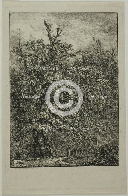 Great Tree, 1809. Creator: Domenico Quaglio II.