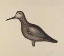 Greater Yellow Leg Decoy, c. 1939. Creator: Samuel W. Ford