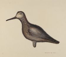 Greater Yellow Leg Decoy, c. 1939. Creator: Samuel W. Ford