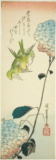 Green birds and hydrangeas, 1830s. Creator: Ando Hiroshige