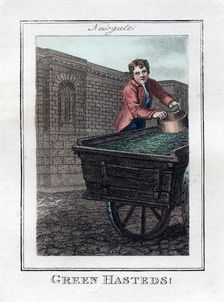 Green Hasteds Newgate, London, 1805