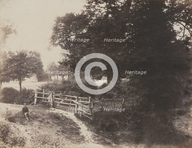 Green Meadows, 1854. Creator: George Shadbolt (British, 1819-1901); Photographic Exchange Club.