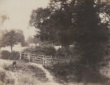 Green Meadows, 1854. Creator: George Shadbolt (British, 1819-1901); Photographic Exchange Club