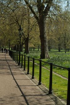 Green Park, 2005. Creator: Ethel Davies
