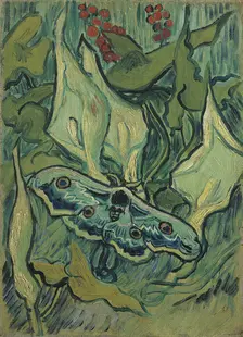Green Peacock Moth (The Emperor Moth), 1889. Artist: Gogh, Vincent, van (1853-1890)