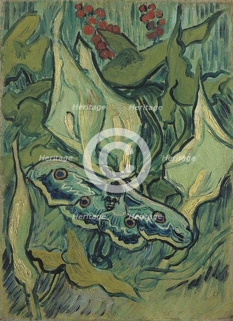 Green Peacock Moth (The Emperor Moth), 1889. Artist: Gogh, Vincent, van (1853-1890)
