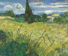 Green Wheat Field with Cypress. Artist: Gogh, Vincent, van (1853-1890)