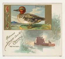 Green-winged Teal, from the Game Birds series (N40) for Allen & Ginter Cigarettes, 1888-90. Creator: Allen & Ginter