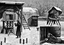 Greenwich Observatory: photographing the temperature; method of reading deep-sunk thermometers, 1881 Creator: Unknown