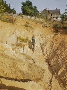 Greene Co. Ga., eroded farm land, 1941. Creator: Jack Delano