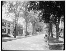 Greene Street, Ithaca, N.Y., between 1890 and 1901. Creator: Unknown