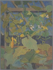 Greenhouse with ornamental gourd, 1897-1901. Creator: Theo van Hoytema