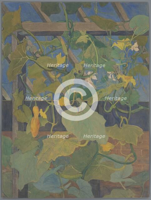 Greenhouse with ornamental gourd, 1897-1901.  Creator: Theo van Hoytema.