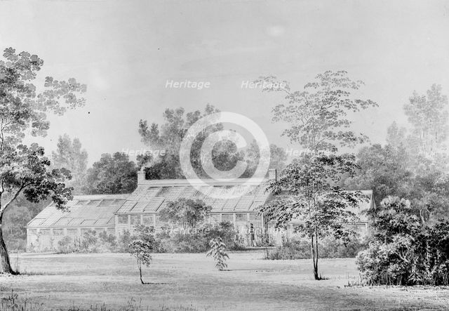 Greenhouse, David Hosack Estate, Hyde Park, New York (from Hoasack Album), ca. 1832. Creator: Thomas Kelah Wharton.