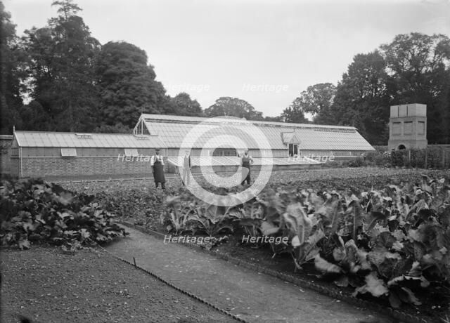 Greenhouses and kitchen garden at Notley Abbey House, Long Crendon, Buckinghamshire, 1904. Artist: A Newton