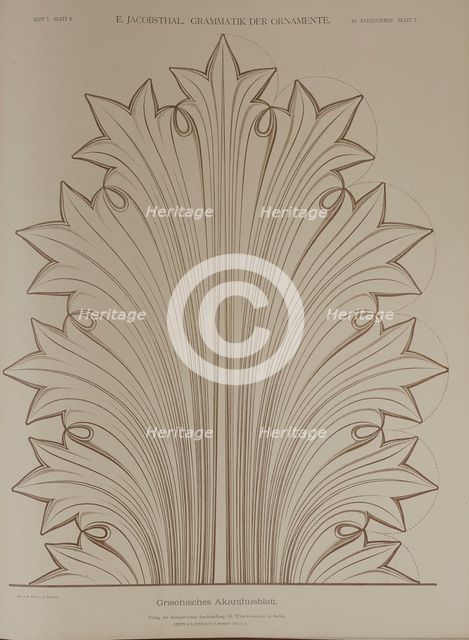 Greek acanthus leaf, 1874.  Creator: Unknown.