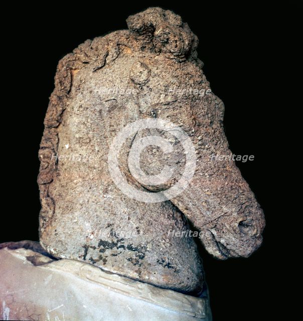 Greek marble horse's head, c.5th century BC. Artist: Unknown