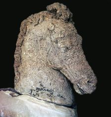 Greek marble horse's head, c.5th century BC