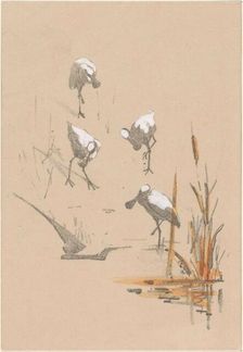 Greeting card with four spoonbills, c.1878-c.1917. Creator: Theo van Hoytema