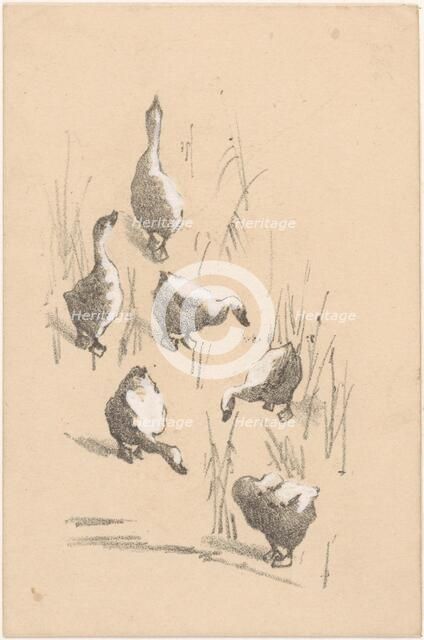Greeting card with six geese, 1878-1917. Creator: Theo van Hoytema.