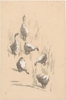 Greeting card with six geese, 1878-1917. Creator: Theo van Hoytema