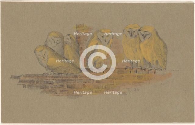 Greeting card with six owls, 1890. Creator: Theo van Hoytema.