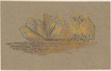 Greeting card with six owls, 1890. Creator: Theo van Hoytema