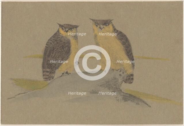 Greeting card with two owls, 1890. Creator: Theo van Hoytema.