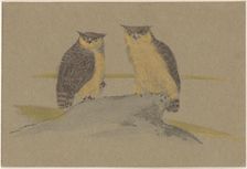 Greeting card with two owls, 1890. Creator: Theo van Hoytema