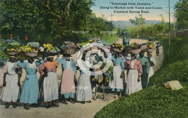 Greetings from Jamaica. Going to Market with Yams and Canes. Constant Spring Road', 1913. Creator: Unknown.