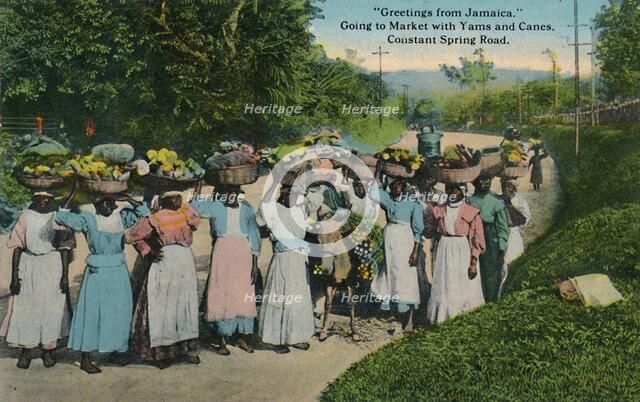 Greetings from Jamaica. Going to Market with Yams and Canes. Constant Spring Road', 1913. Creator: Unknown.
