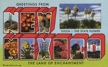 Greetings from New Mexico, the Land of Enchantment postcard, 1959