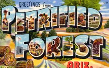 Greetings from Petrified Forest, Arizona postcard, 1941