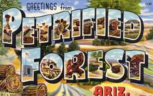 Greetings from Petrified Forest, Arizona postcard, 1941